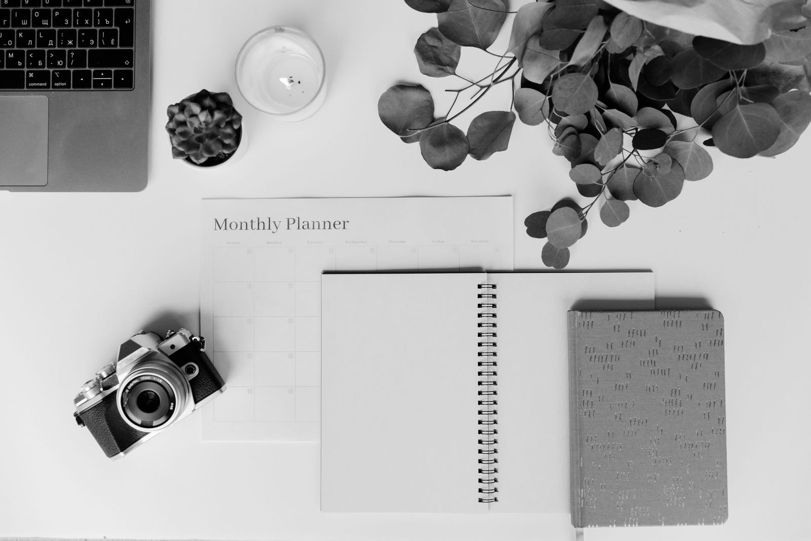 The Best Notion Templates for Small Business in 2026