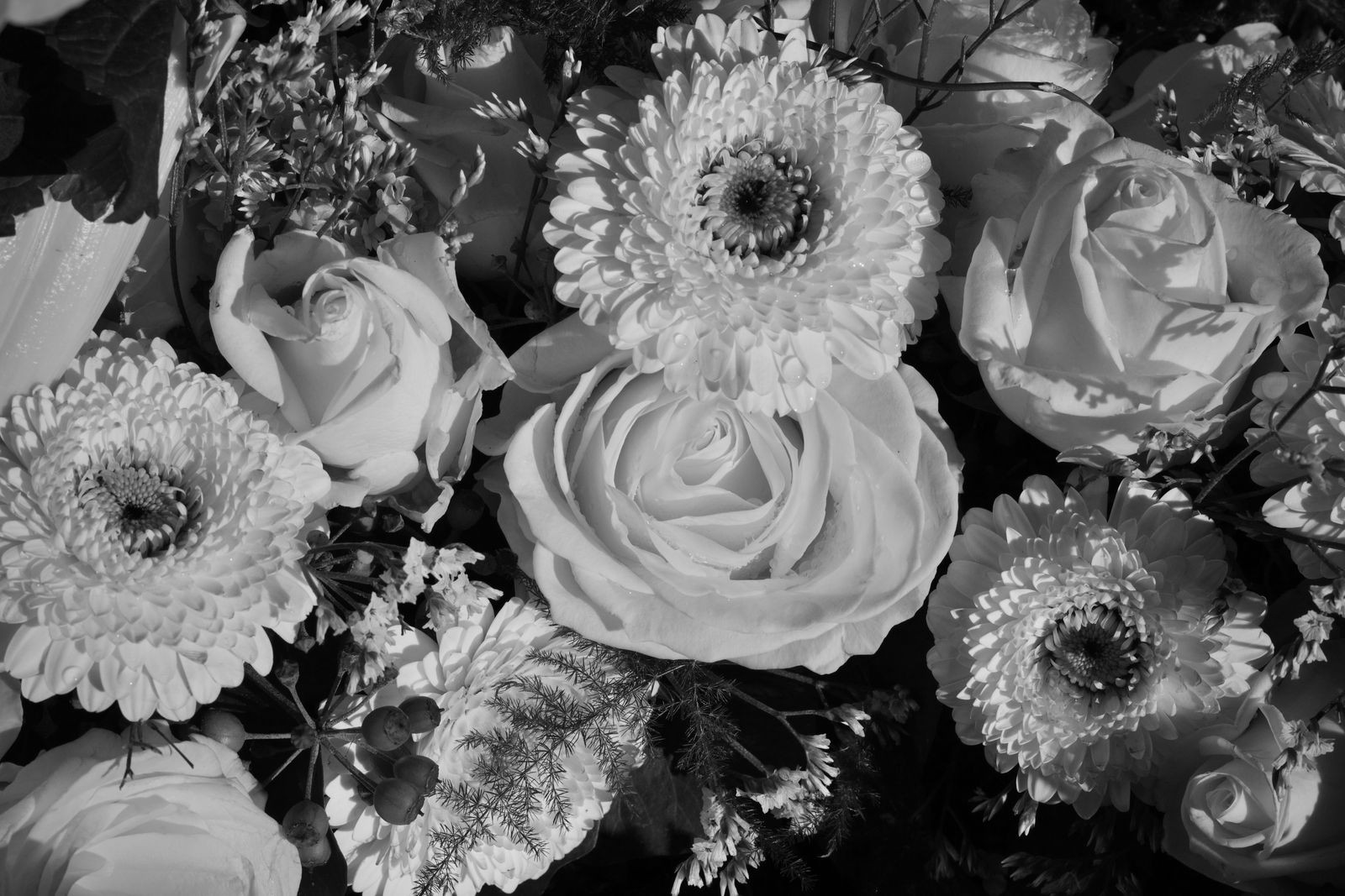 Best Funeral Home Software for Independent Directors (2026)